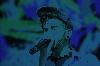 BeatJoc D�nt�2