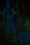 Bal�zs Ren�ta D�nt�2