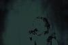 DNS D�nt�