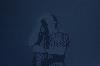 Sur�nyi Botond D�nt�3